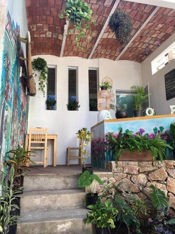 Palapa Chili # Sayulita Exterior foto